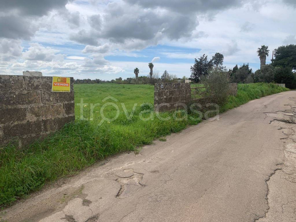 immagine annuncio 1 di 3