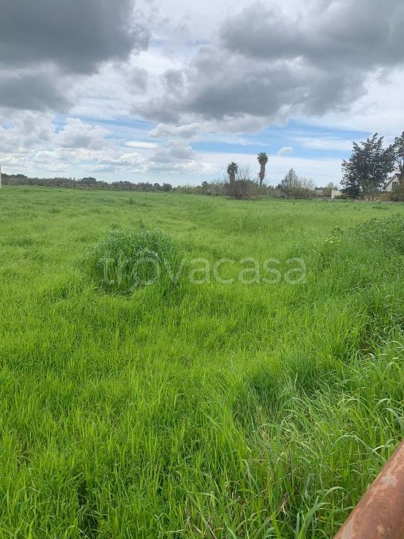 immagine annuncio 2 di 3