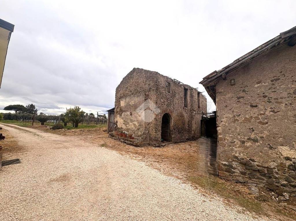 immagine annuncio 1 di 11