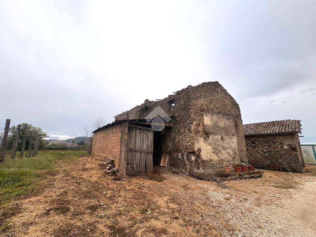 immagine annuncio 2 di 11