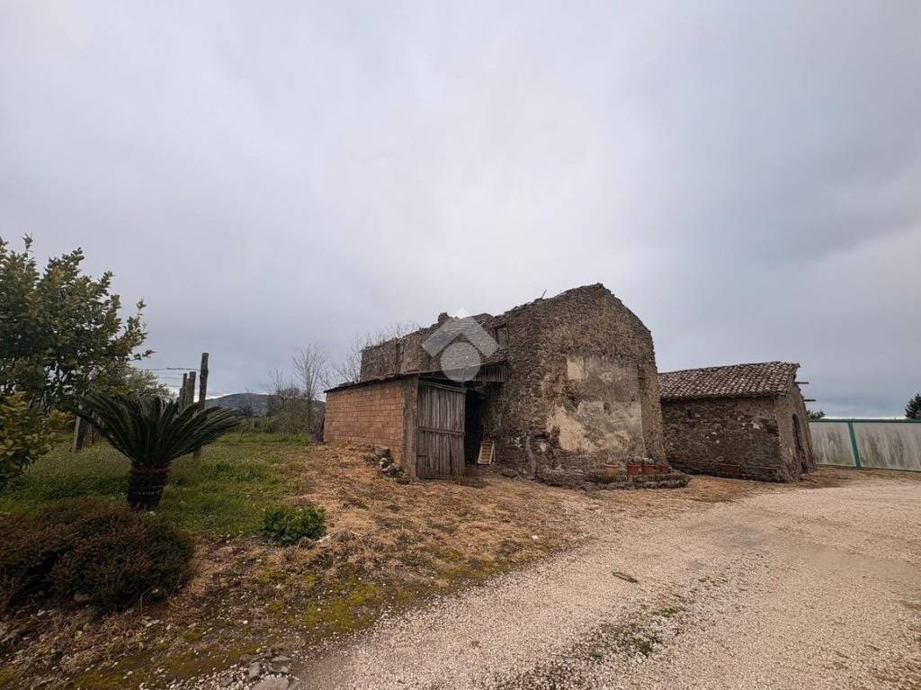 immagine annuncio 3 di 11