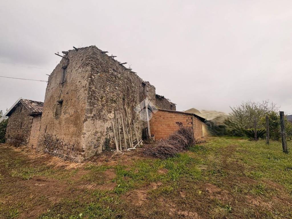 immagine annuncio 6 di 11