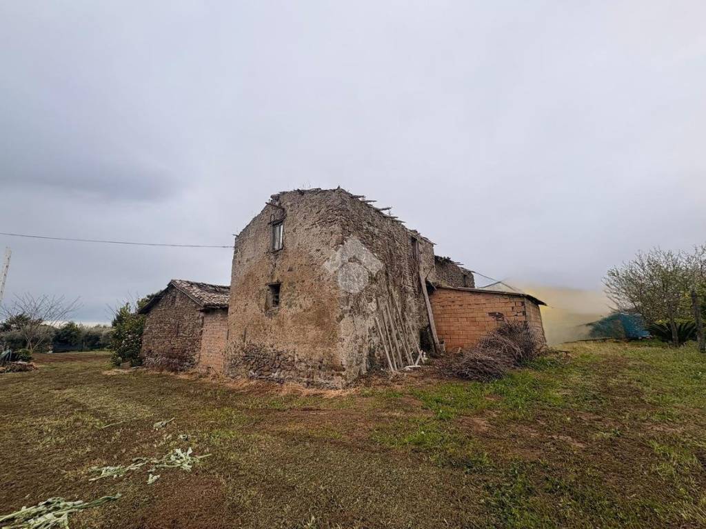 immagine annuncio 7 di 11