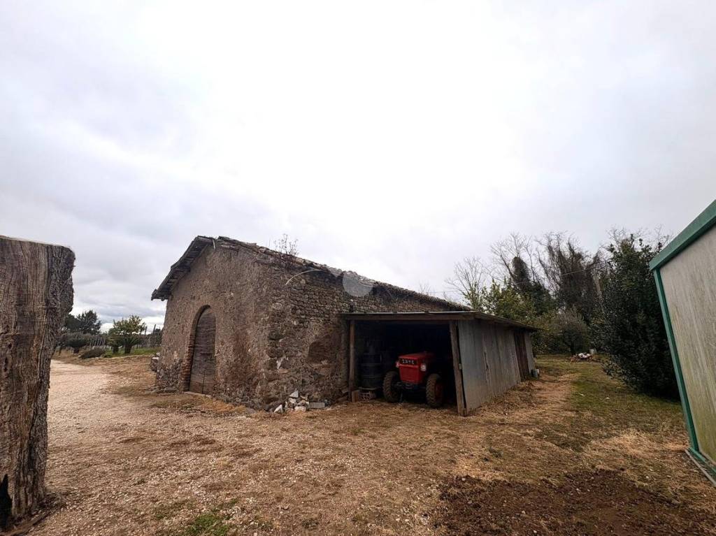 immagine annuncio 8 di 11