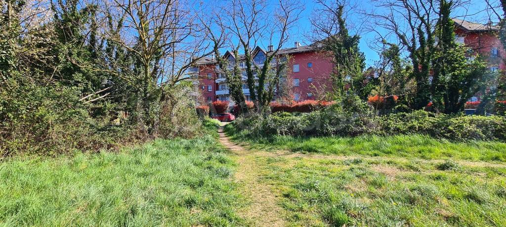 immagine annuncio 14 di 15