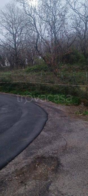 immagine annuncio 6 di 8