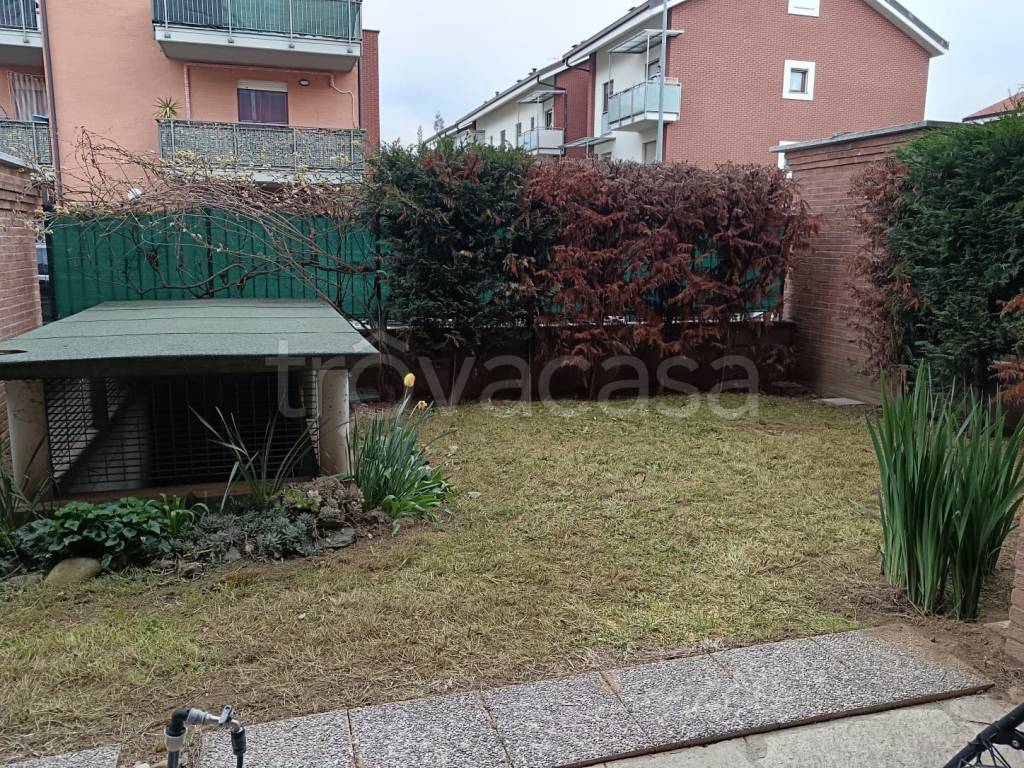 immagine annuncio 3 di 15