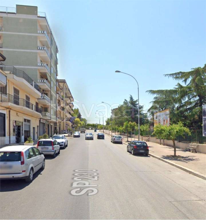 immagine annuncio 11 di 12