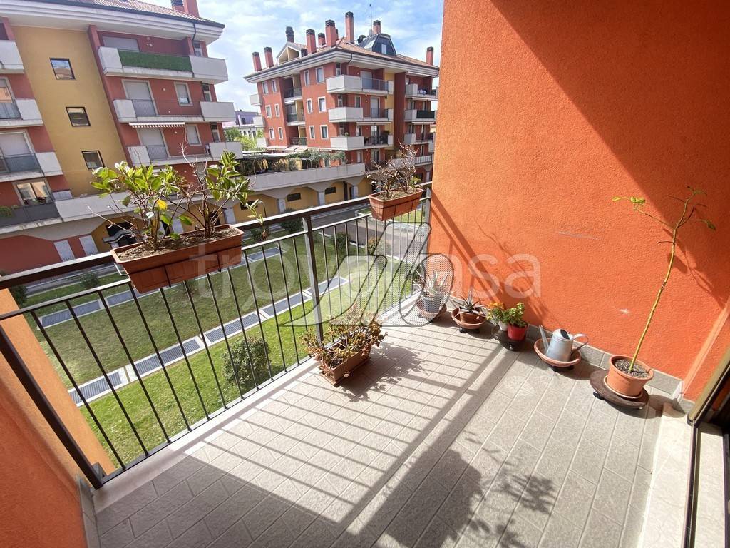 immagine annuncio 7 di 15