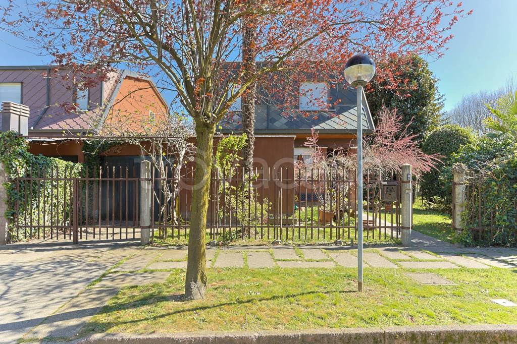 immagine annuncio 3 di 15