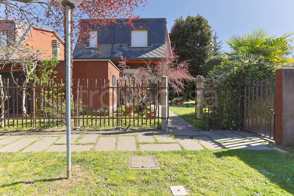 immagine annuncio 4 di 15