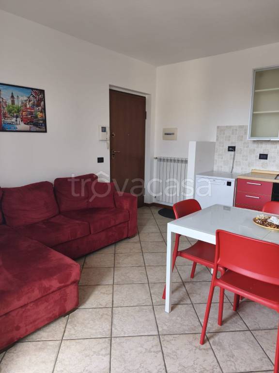 immagine annuncio 9 di 15