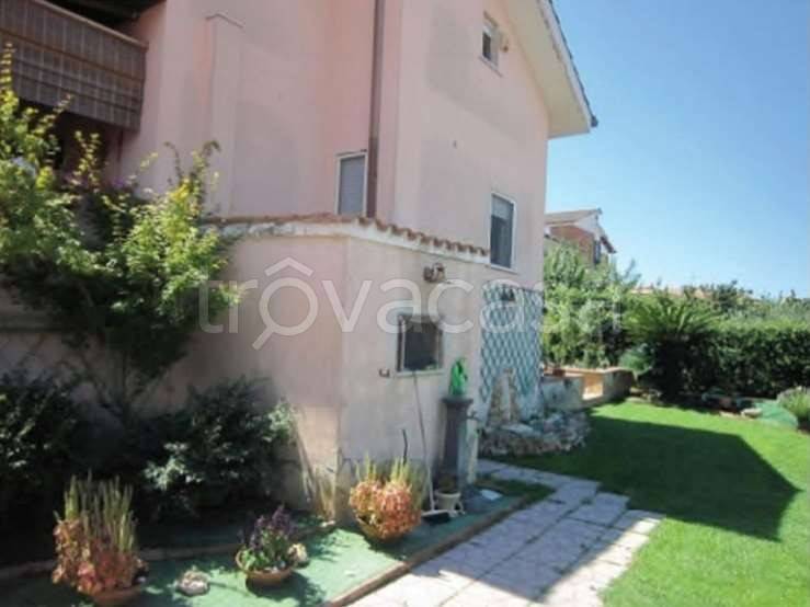 immagine annuncio 4 di 11