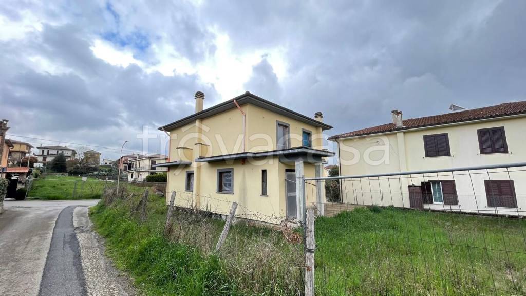 immagine annuncio 12 di 13