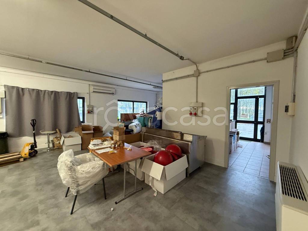 immagine annuncio 9 di 15