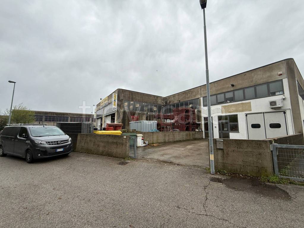 immagine annuncio 11 di 15