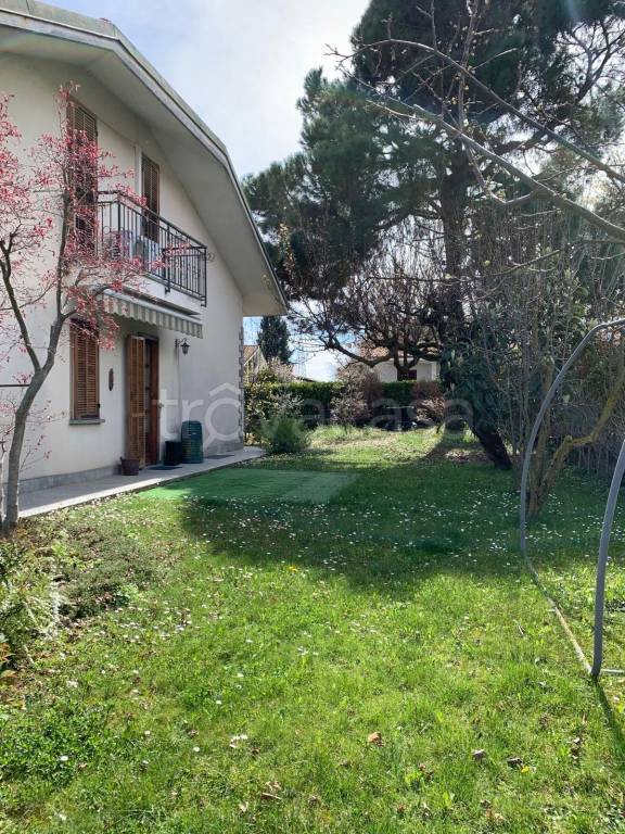 immagine annuncio 4 di 15