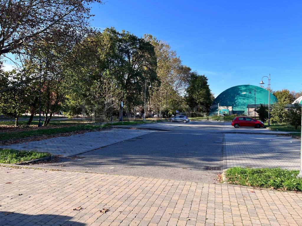 immagine annuncio 9 di 12