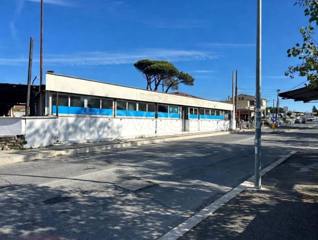 immagine annuncio 3 di 8