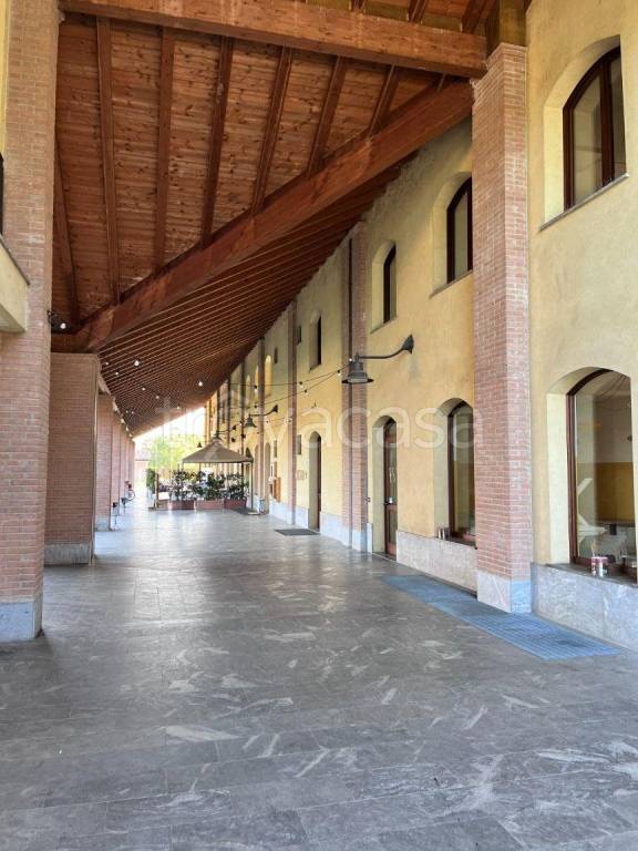 immagine annuncio 1 di 12