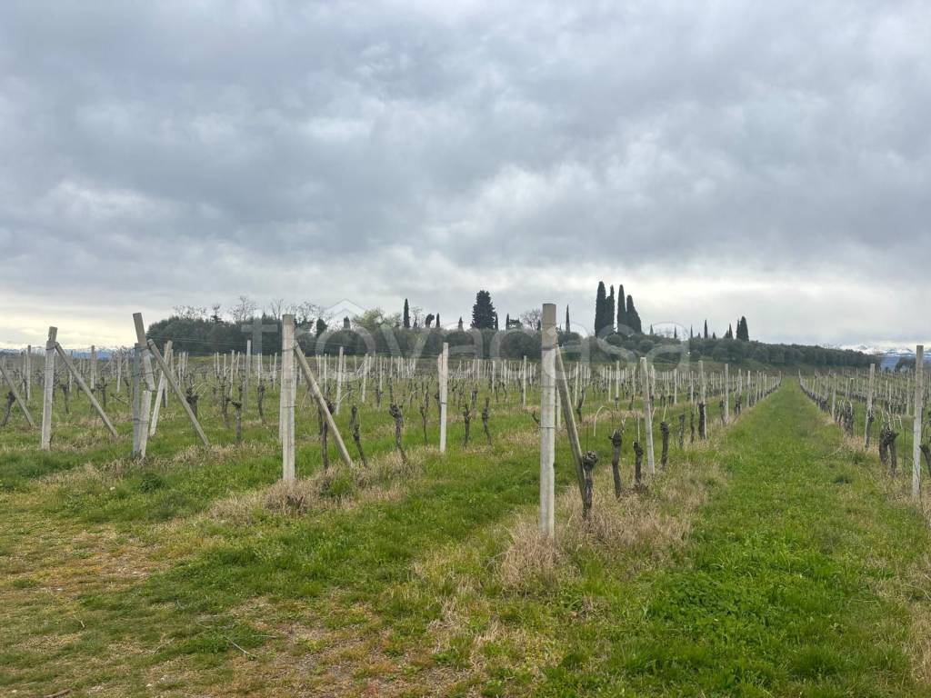 immagine annuncio 5 di 13