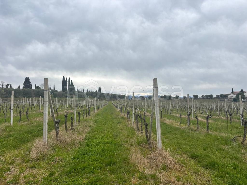 immagine annuncio 7 di 13