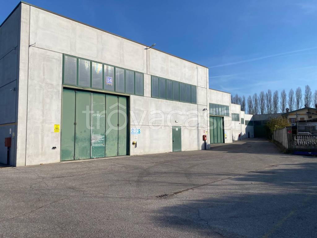 immagine annuncio 8 di 15