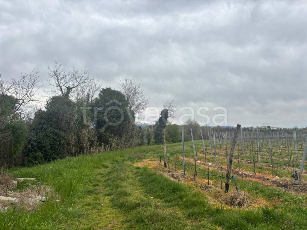 immagine annuncio 6 di 8