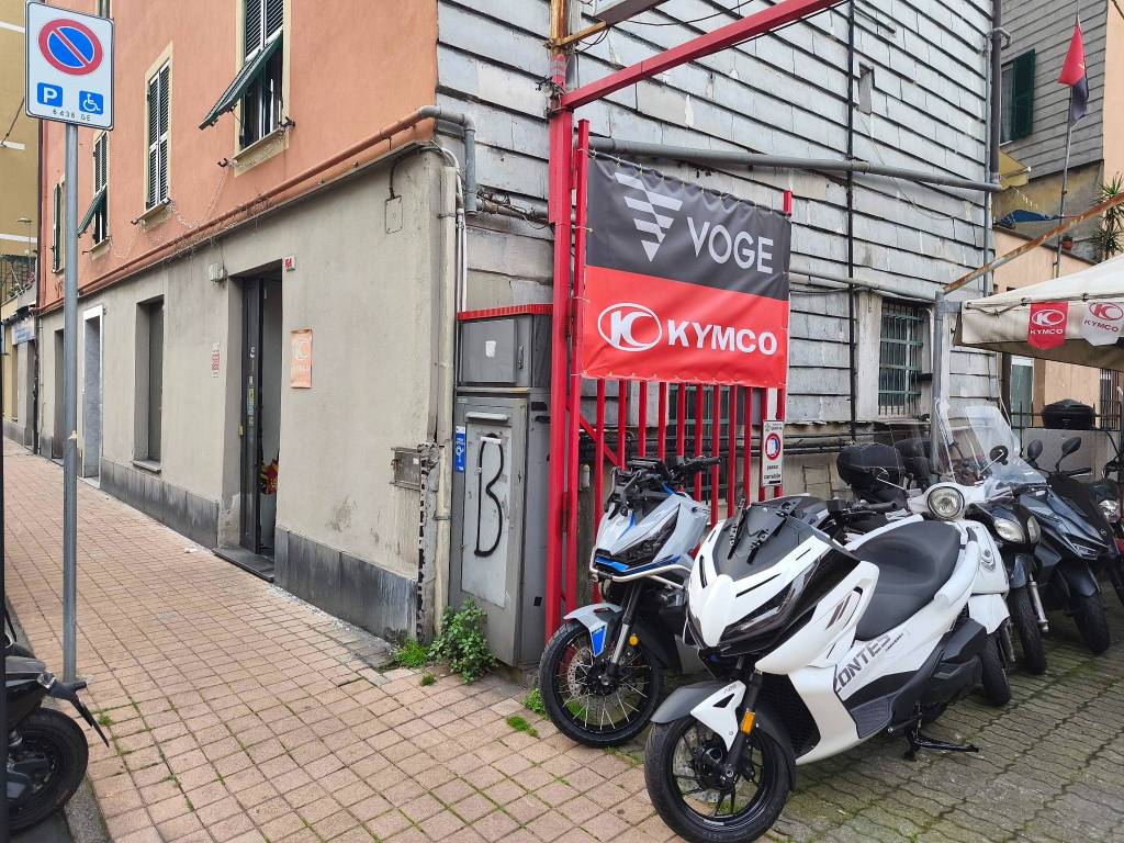 immagine annuncio 1 di 8