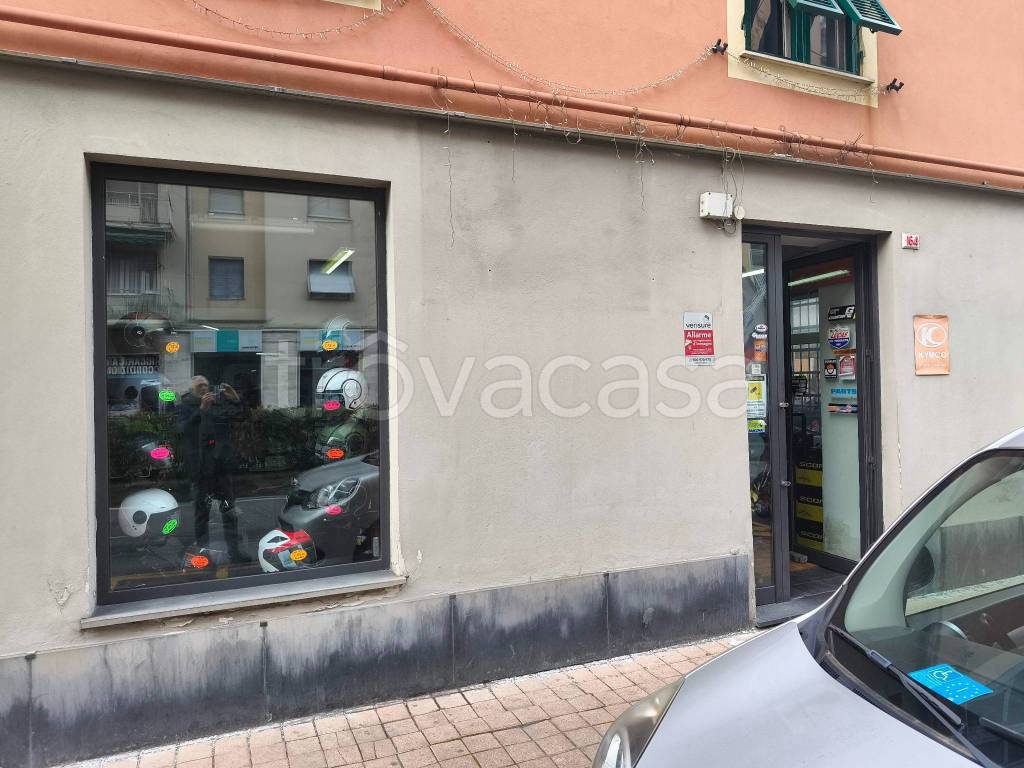 immagine annuncio 2 di 8