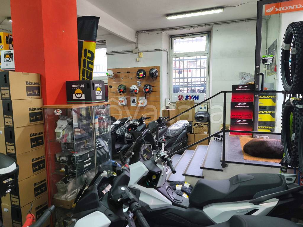 immagine annuncio 3 di 8