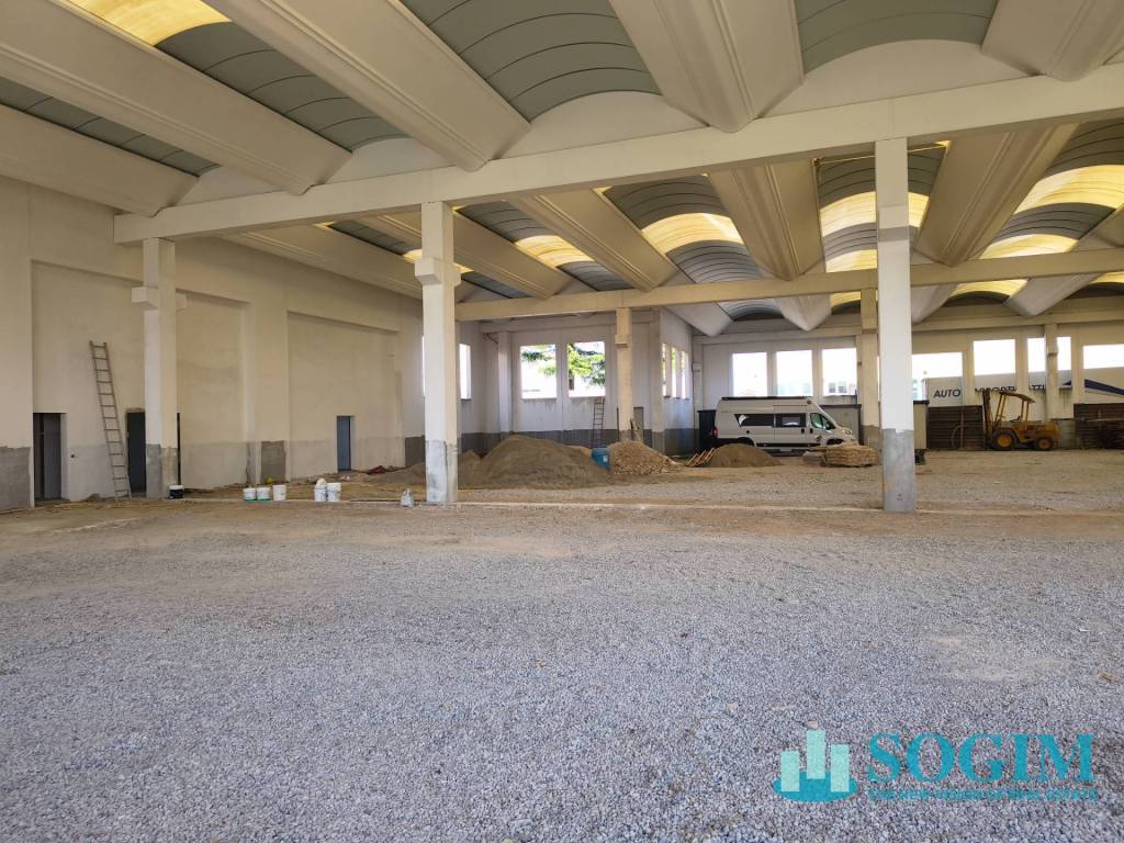 immagine annuncio 12 di 15