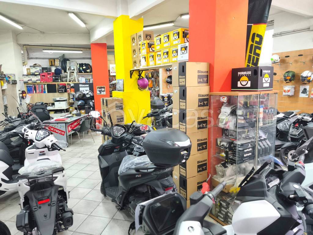 immagine annuncio 6 di 8