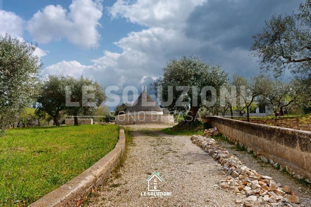 immagine annuncio 10 di 13