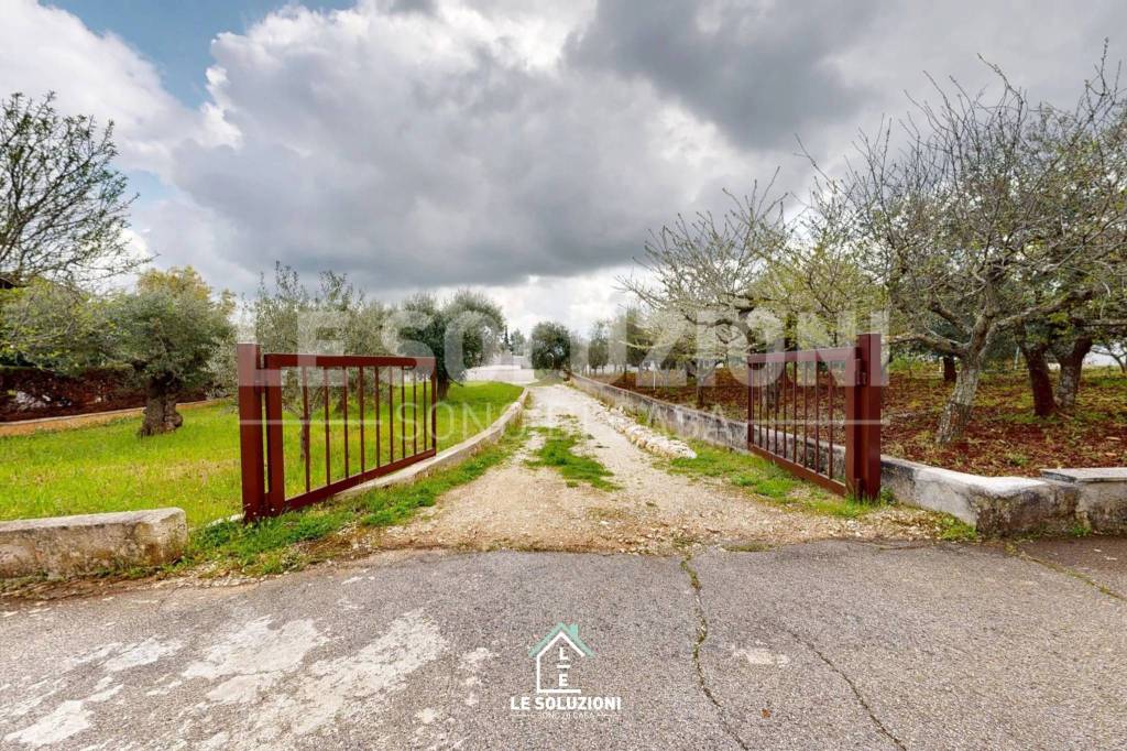 immagine annuncio 11 di 13