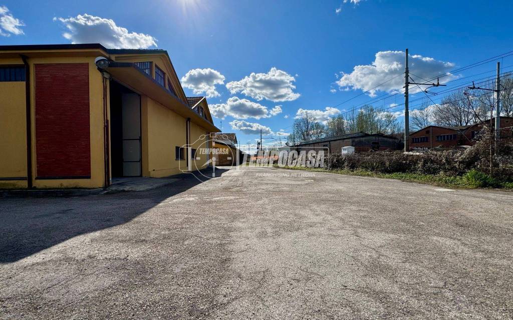 immagine annuncio 6 di 15