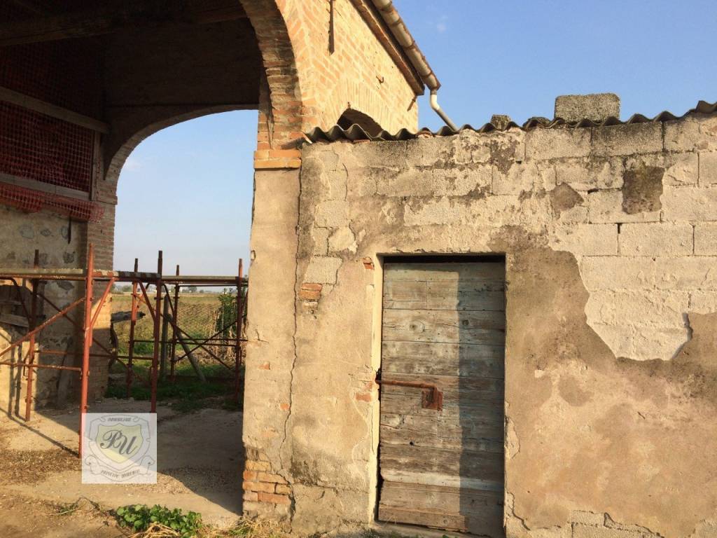 immagine annuncio 11 di 12