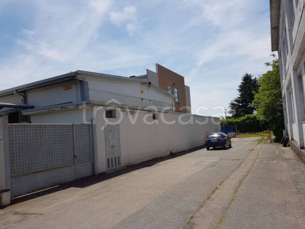 immagine annuncio 1 di 14