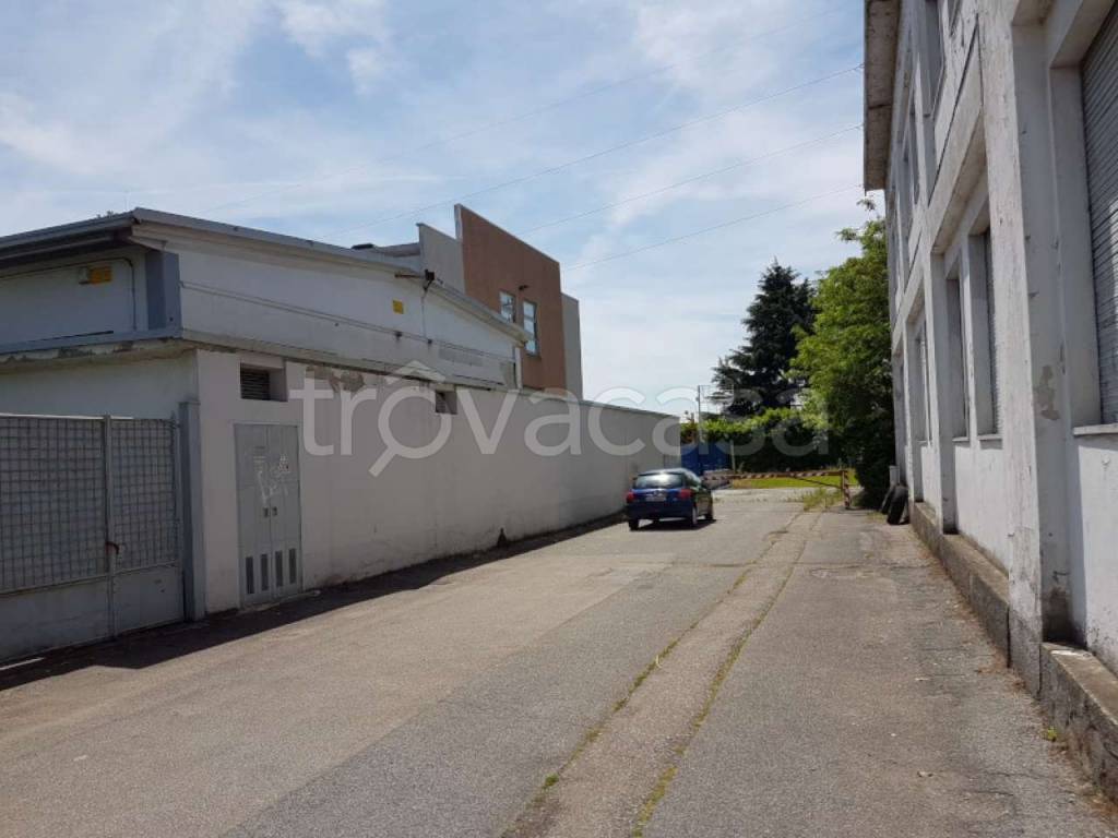 immagine annuncio 3 di 14