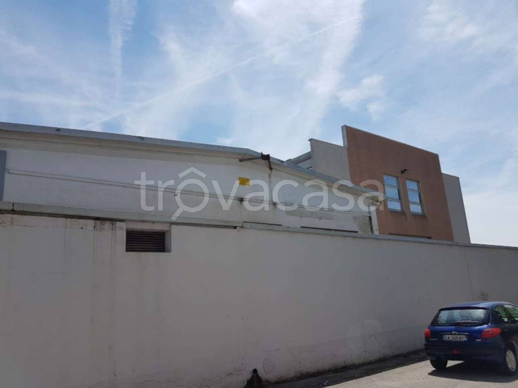 immagine annuncio 4 di 14