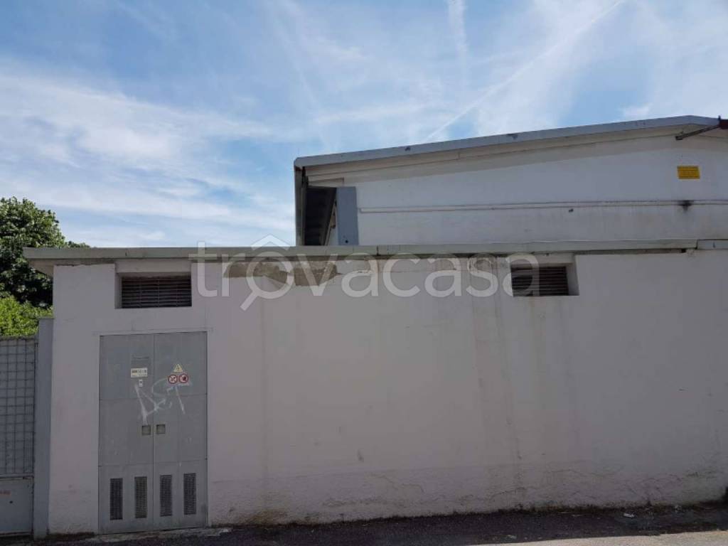 immagine annuncio 5 di 14