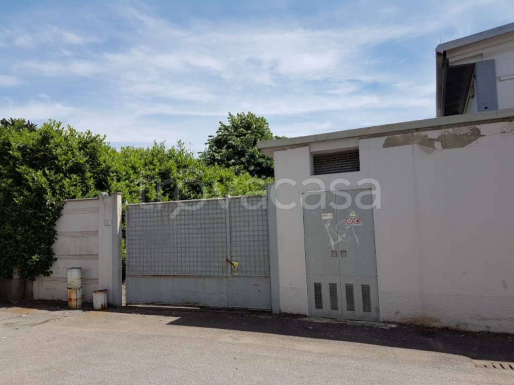 immagine annuncio 6 di 14