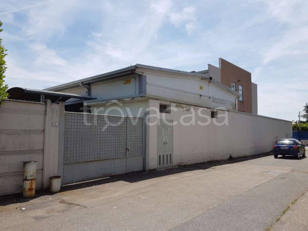 immagine annuncio 7 di 14