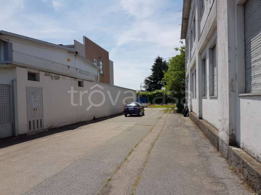 immagine annuncio 9 di 14