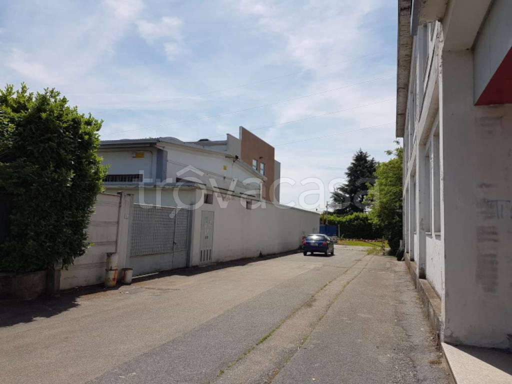 immagine annuncio 10 di 14