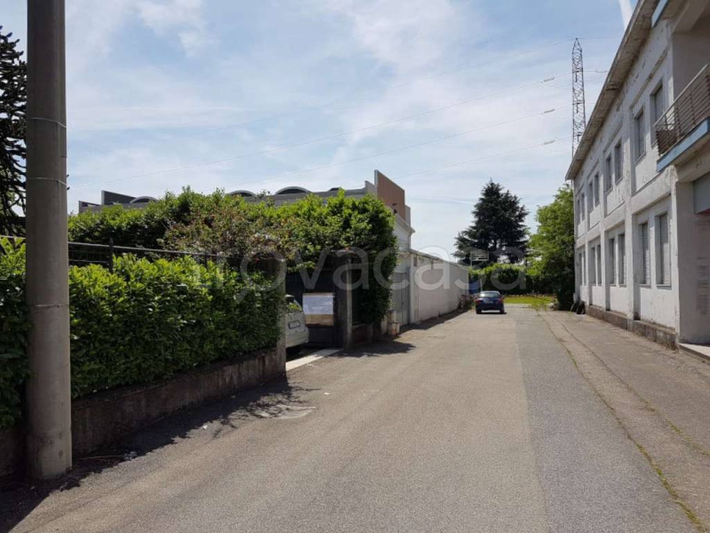 immagine annuncio 11 di 14