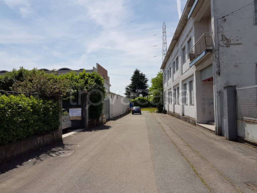 immagine annuncio 13 di 14