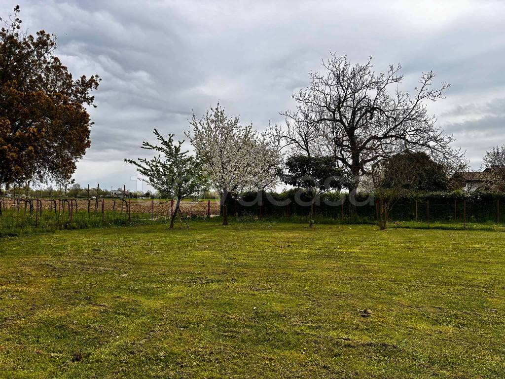 immagine annuncio 13 di 14