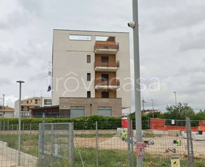 immagine annuncio 3 di 14