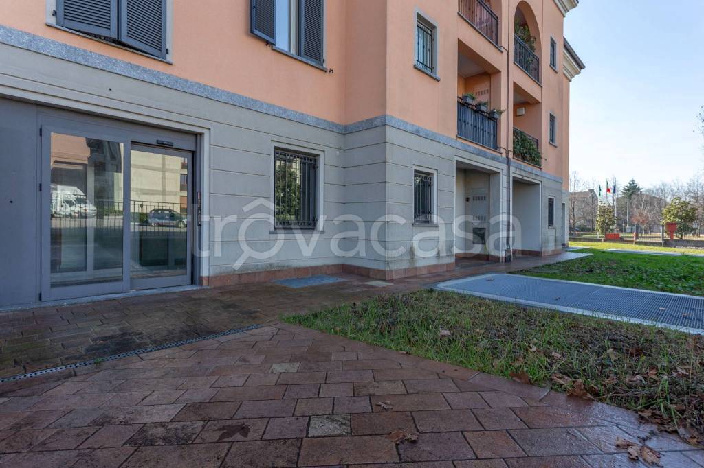 immagine annuncio 2 di 10